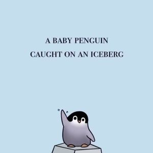 Meet your Posher, Izzy